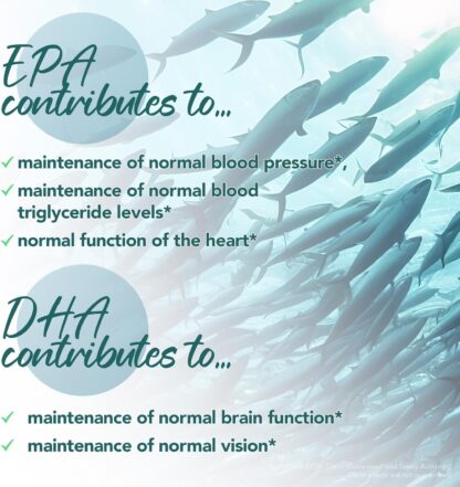 Omega 3 Fish Oil 2000mg, EPA 660mg DHA 440mg per Daily Serving. 120 Capsules (2 Months Supply). Supports Heart, Brain Function and Eye Health. 2 Capsules Per Serving - Image 4