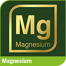 magnesium