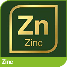 zinc